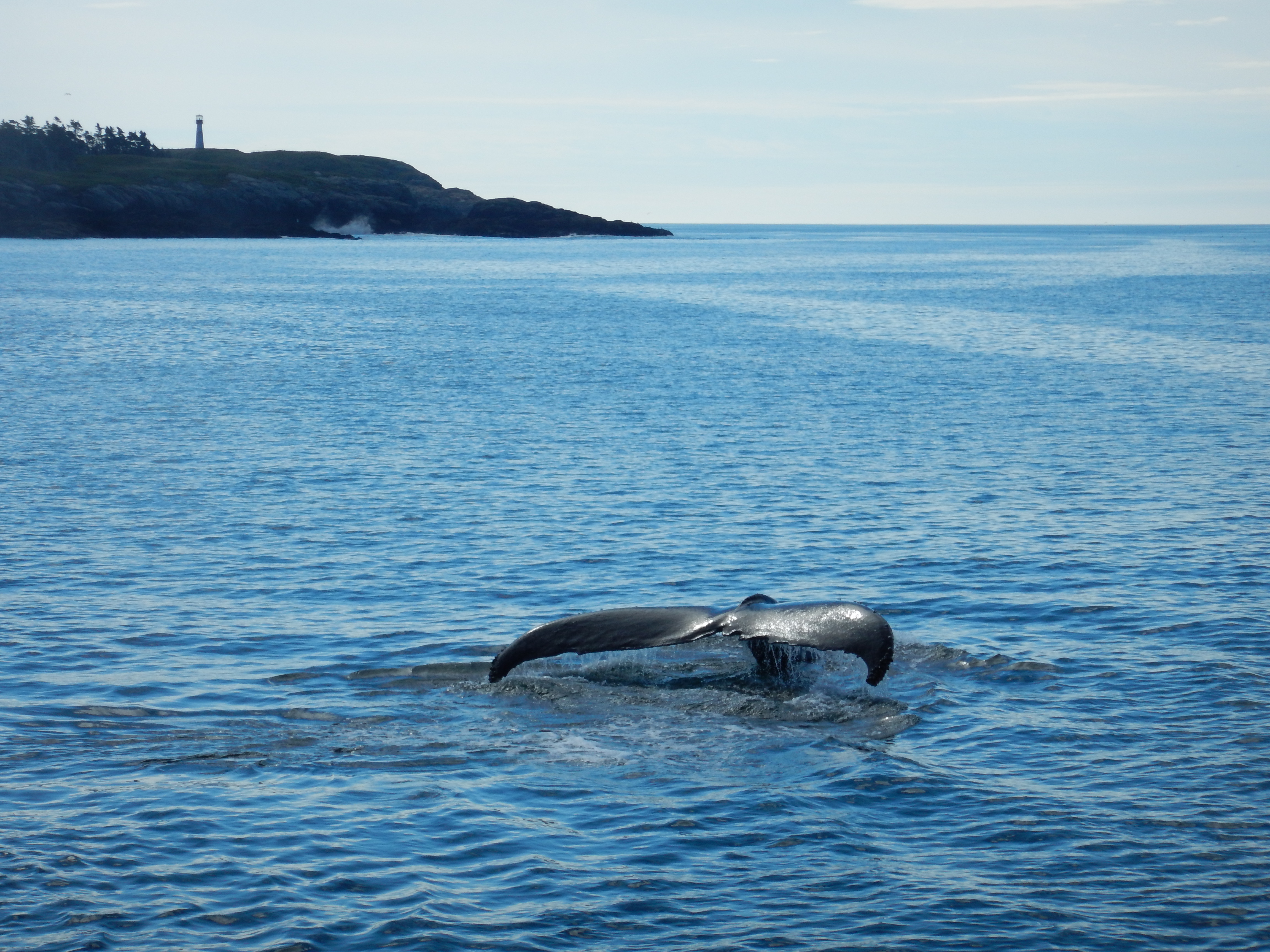 St. Andrews, New Brunswick
